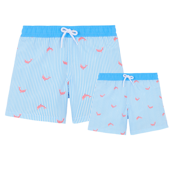 BOX DAUPHIN Papa-Garçon