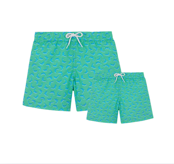 BOX DAUPHIN Papa-Garçon